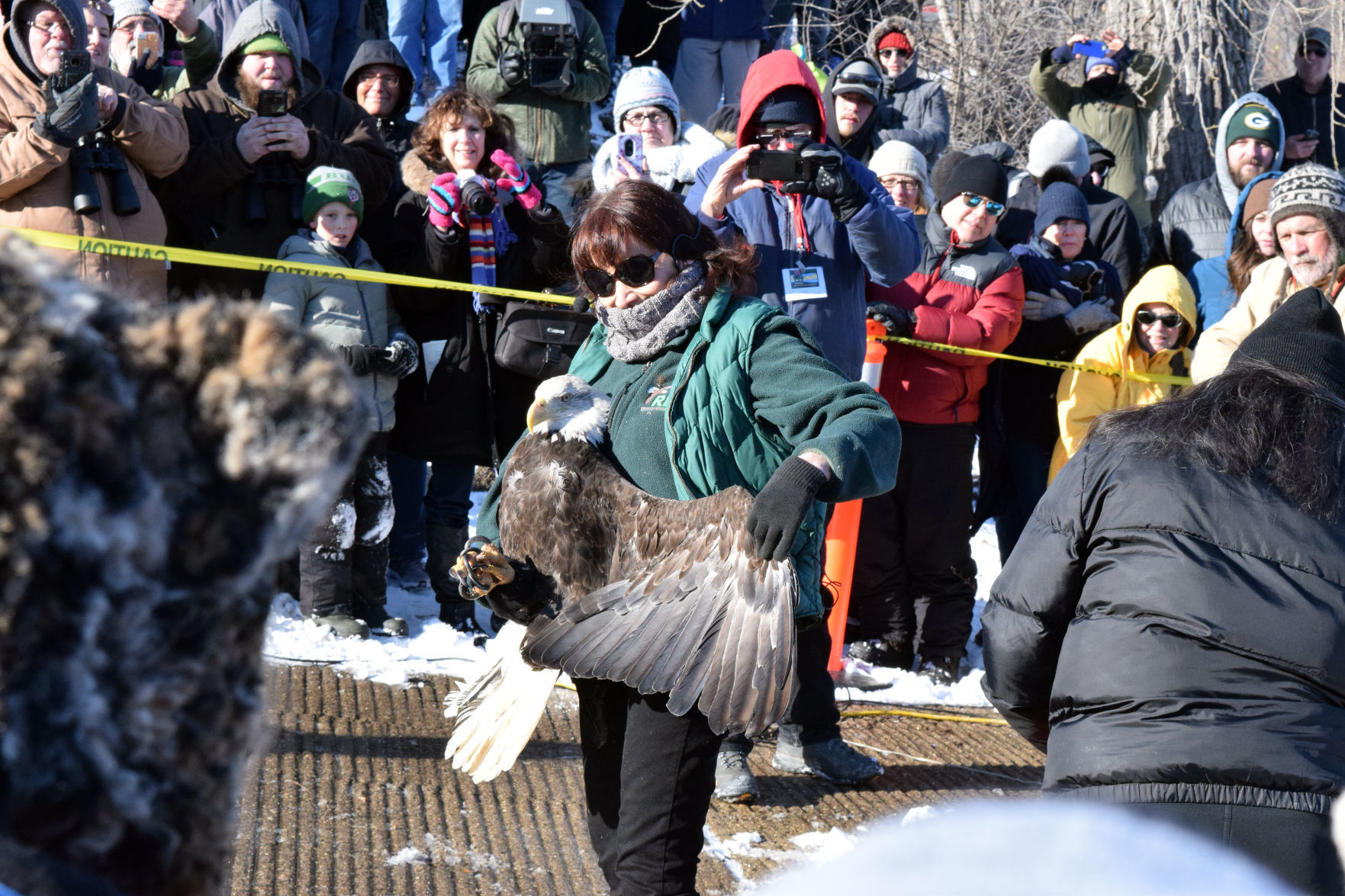 012019-sauk-gallery-eagle010